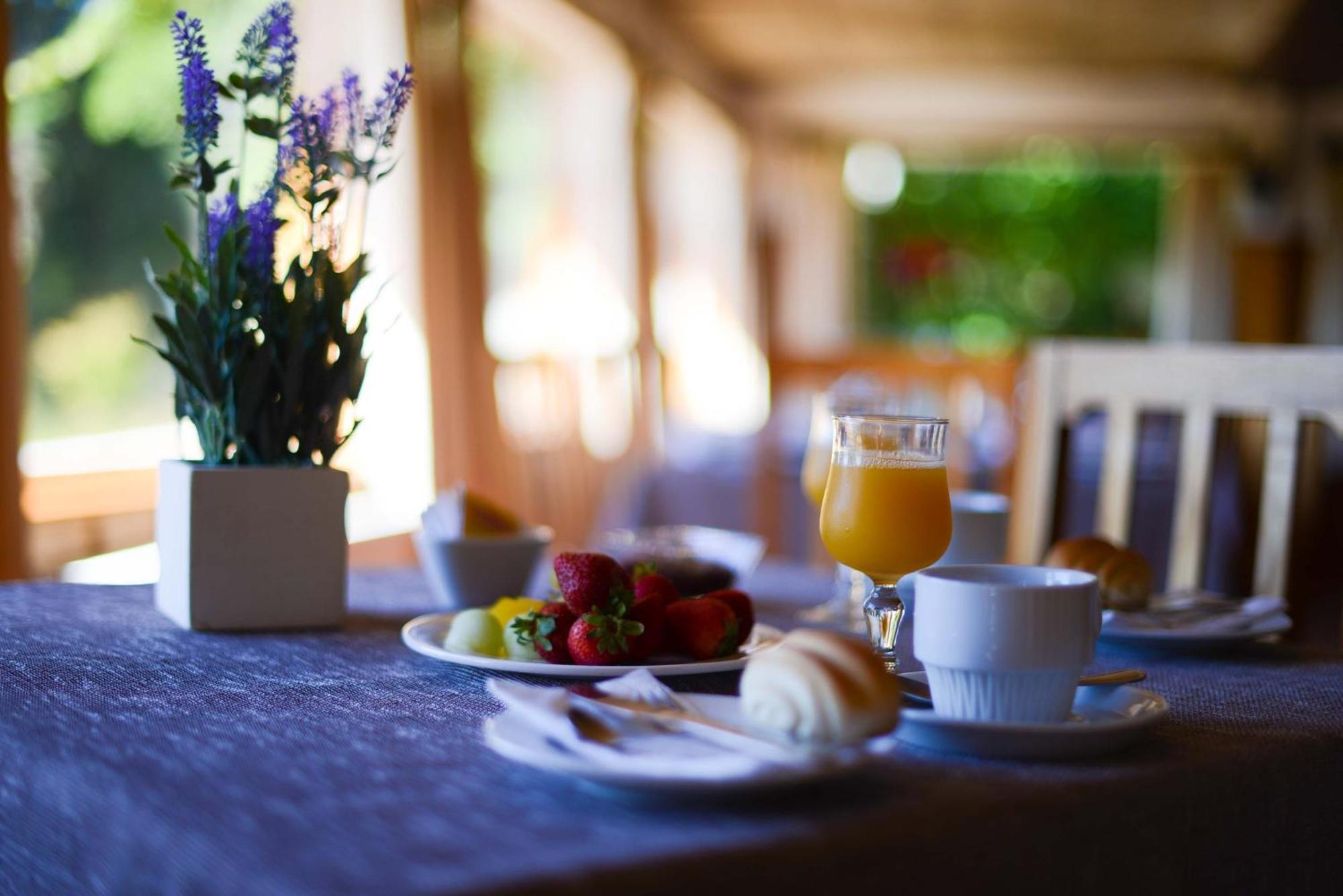 Hotel Y Cabanas El Parque Villarrica Dış mekan fotoğraf